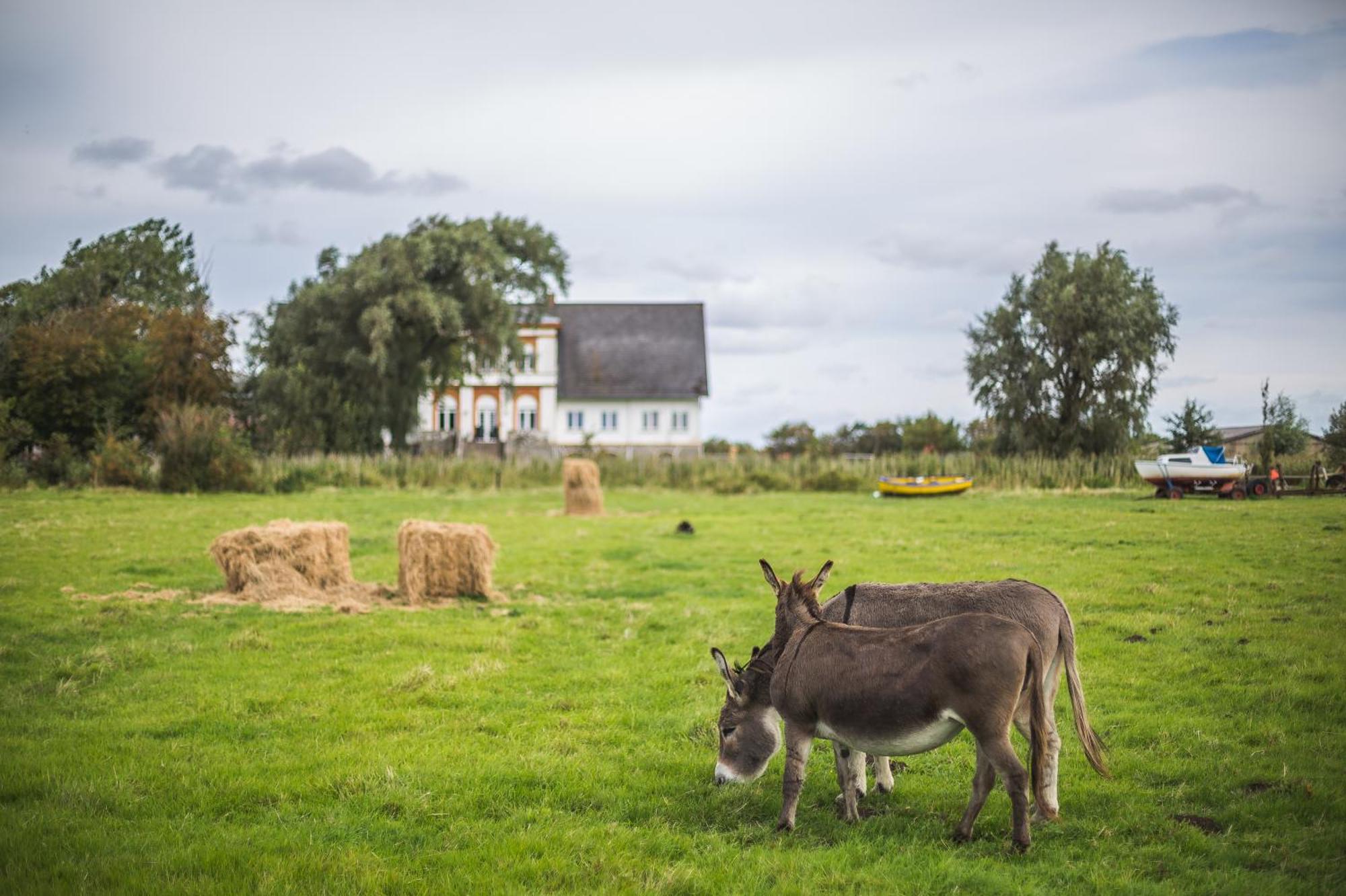 Maison d'hôtes Hohenwarte à Højer Extérieur photo